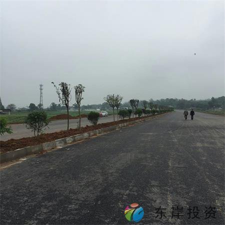 岷東大道東坡段5.8公里道路隔離帶綠化工程(圖9) 岷東大道東坡段5.8公里道路隔離帶綠化工程(圖9)
