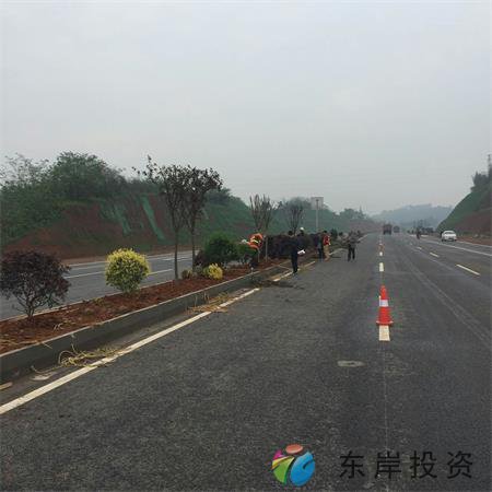 岷東大道東坡段5.8公里道路隔離帶綠化工程(圖1) 岷東大道東坡段5.8公里道路隔離帶綠化工程(圖1)